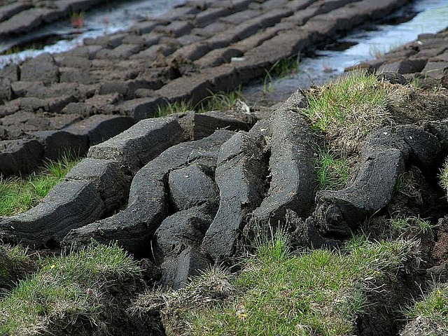 Peat